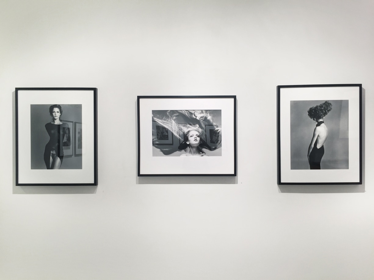 Richard Avedon Fashion Exhibitions Staley Wise Gallery