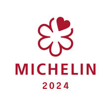 Michelin Logo