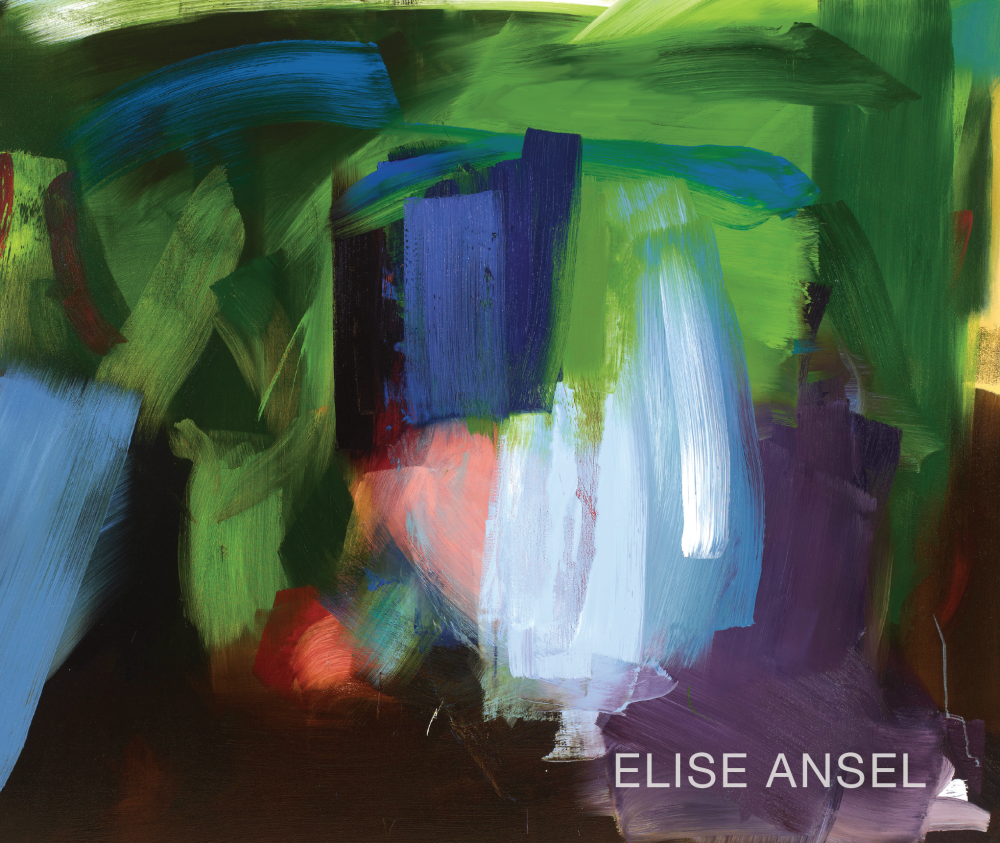 Elise Ansel: Time Present - Publications - Danese/Corey