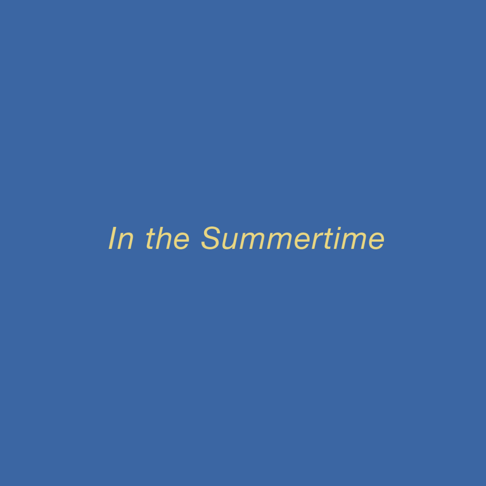 In the Summertime - Publications - Danese/Corey