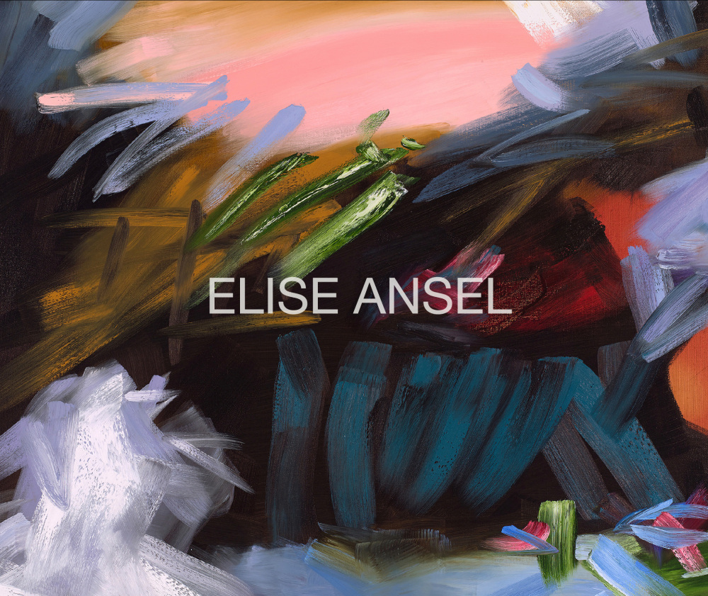 Elise Ansel: Dialogue - Publications - Danese/Corey