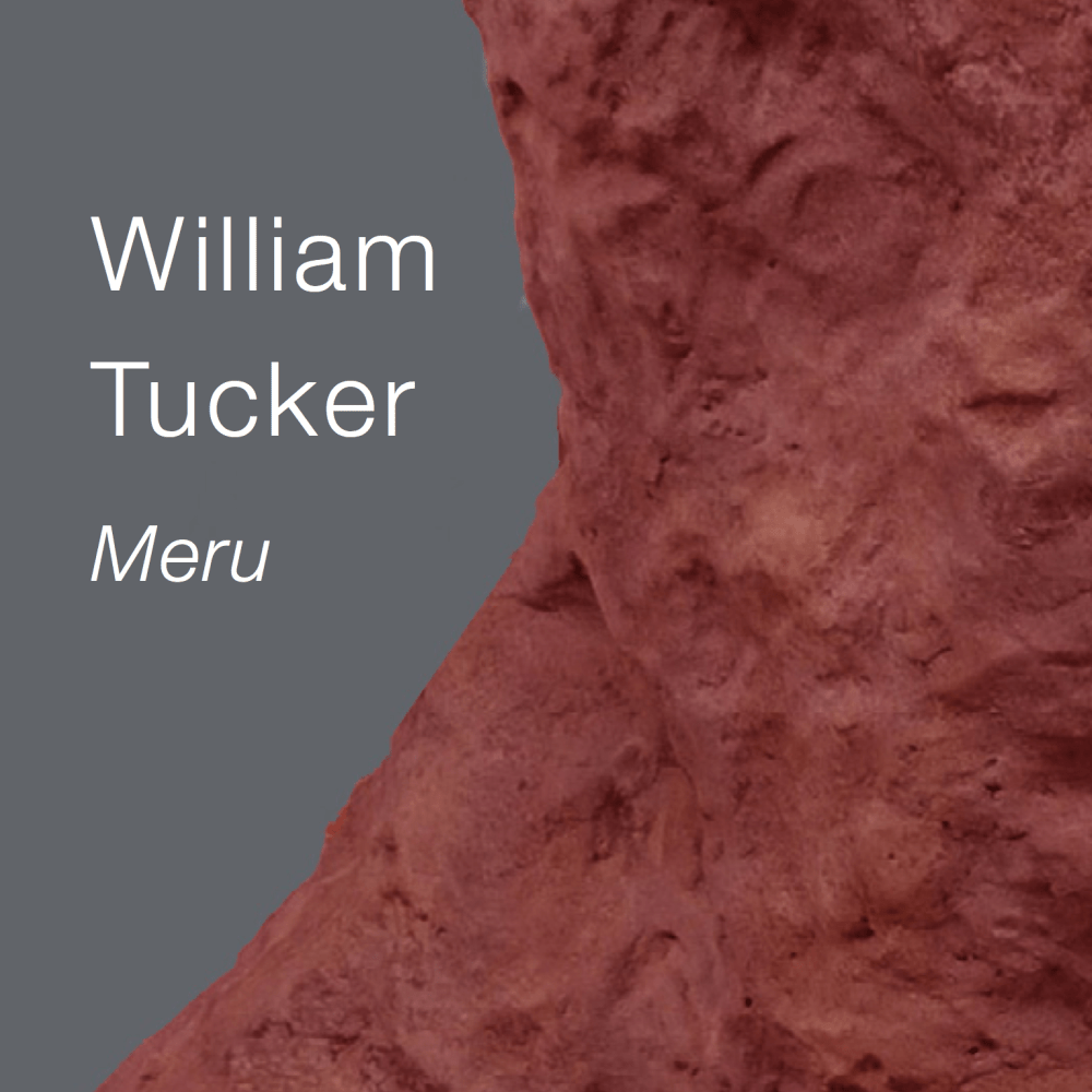 William Tucker: Meru - Publications - Danese/Corey