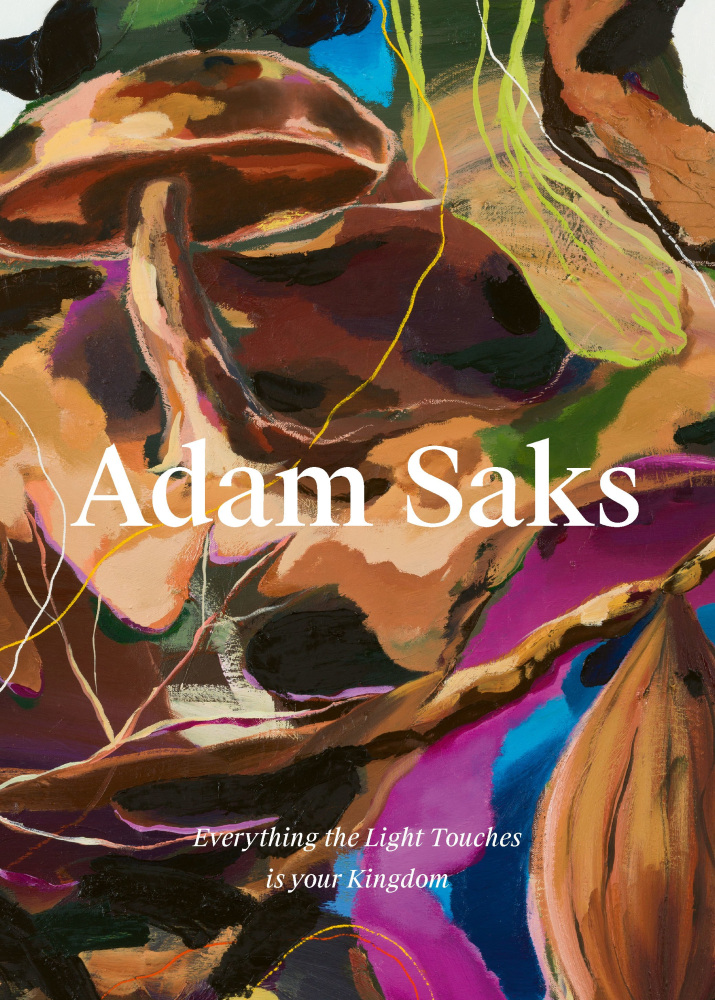Adam Saks - Everything the Light Touches is your Kingdom - Publications - Meliksetian | Briggs