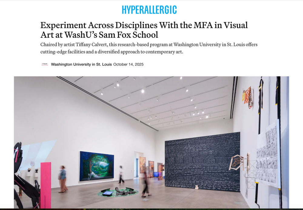 Hyperallergic - Tiffany Calvert chairs a research-based program at Washington University