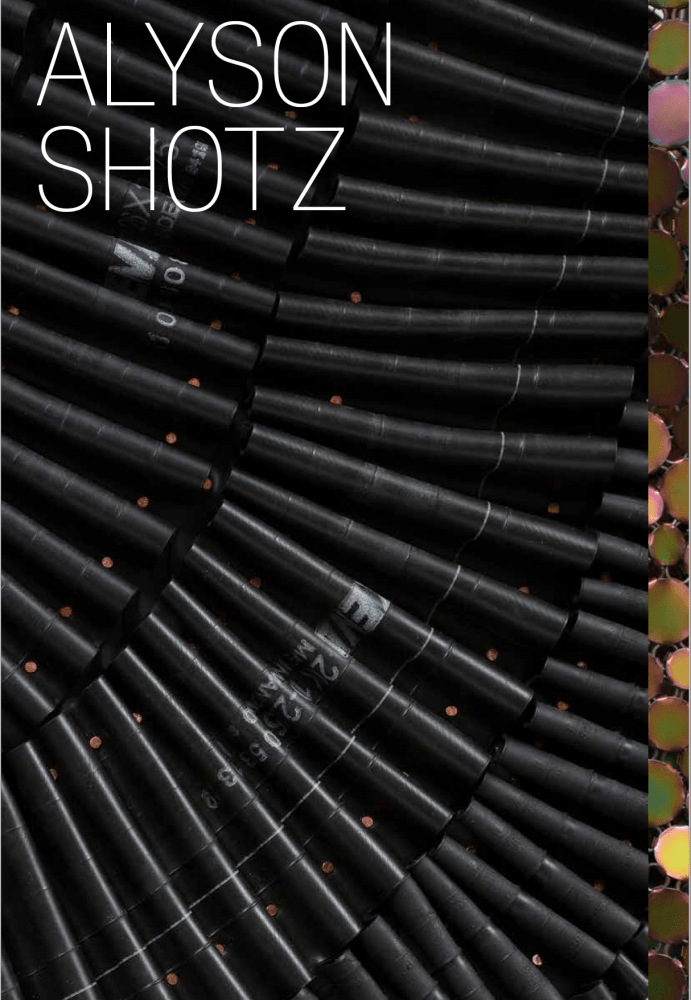 Alyson Shotz -  - Publications - Derek Eller Gallery