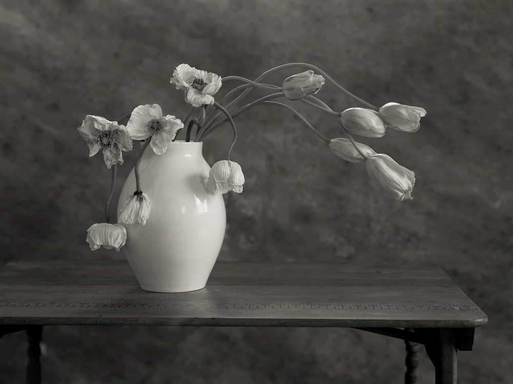 Yumiko &amp; Kenro Izu: In Harmony