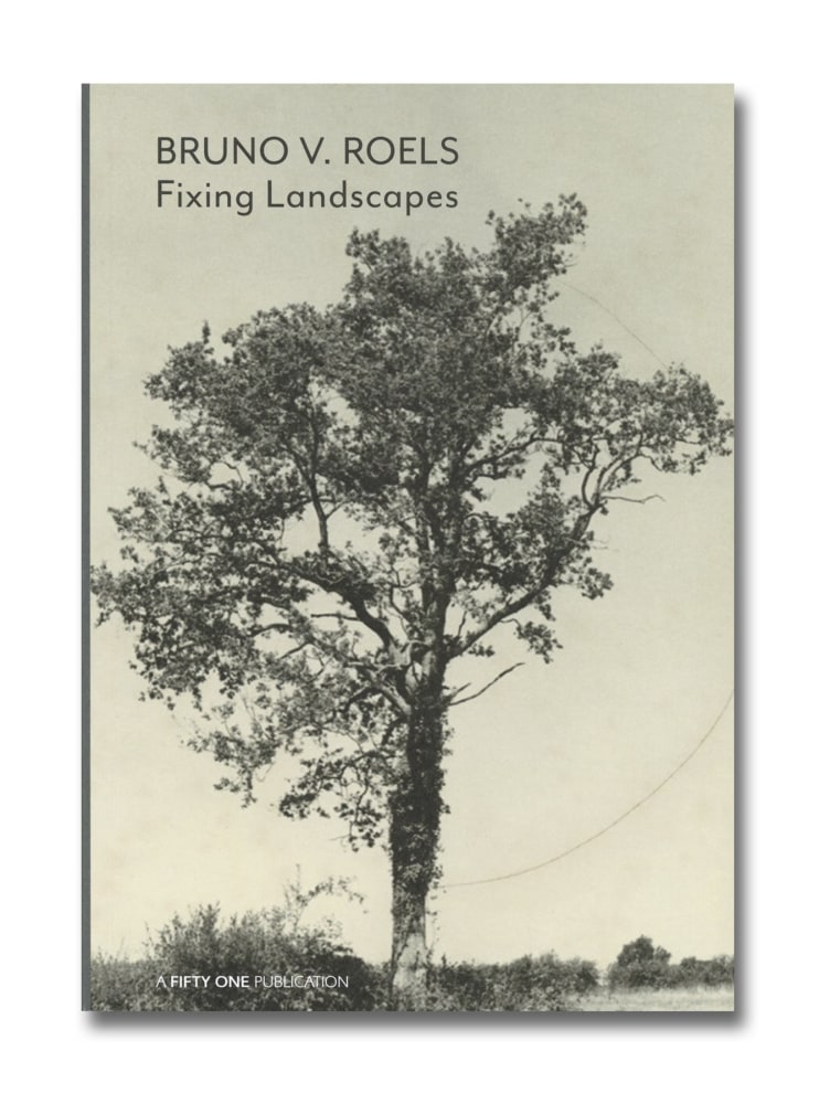 Fixing Landscapes - Bruno V. Roels - Publications - Howard Greenberg Gallery