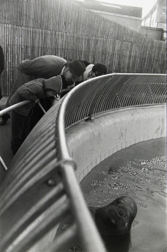 Untitled, 1964