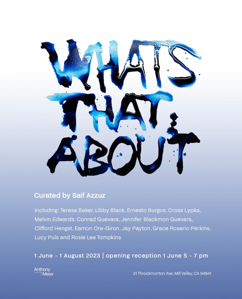 What's that about - Group exhibition curated by Saif Azzuz - Exhibitions - Anthony Meier