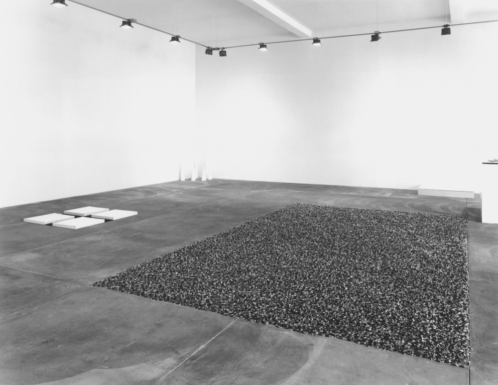 Felix Gonzalez-Torres -  - Exhibitions - Luhring Augustine