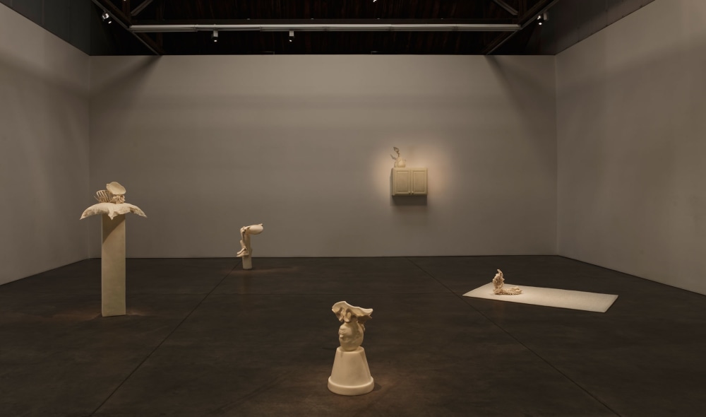 Janine Antoni - From the Vow Made - Exhibitions - Luhring Augustine