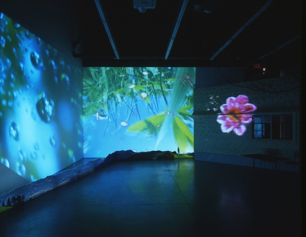 Pipilotti Rist - Herbstzeitlose: (Saffron Flower or Fall Time Less) - Exhibitions - Luhring Augustine