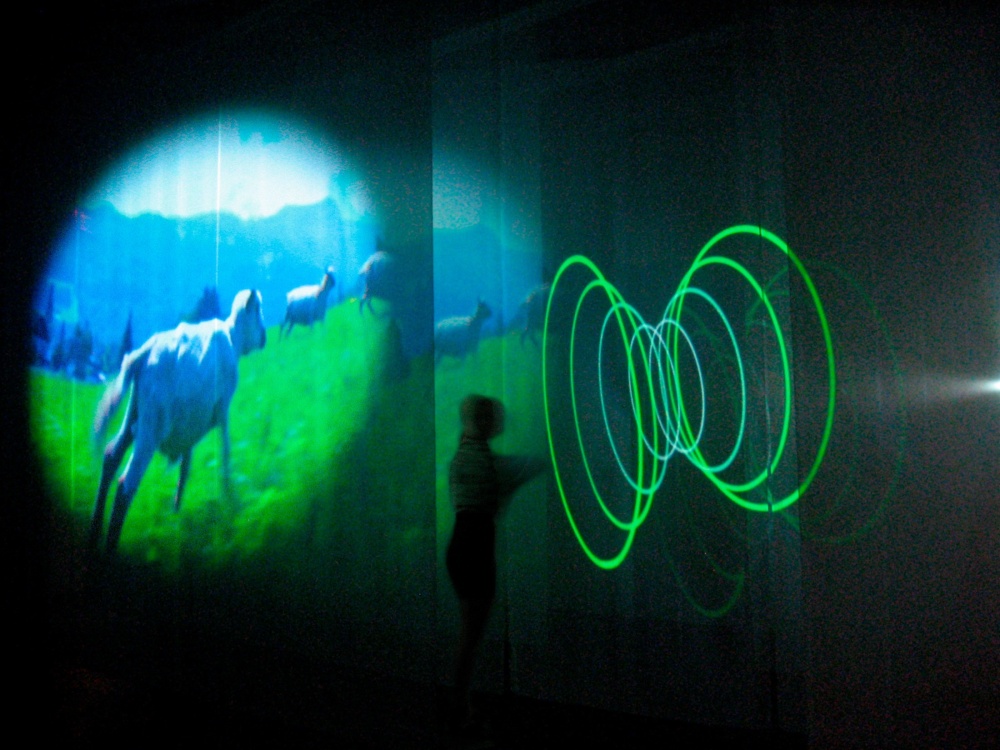 Pipilotti Rist - Heroes of Birth - Exhibitions - Luhring Augustine