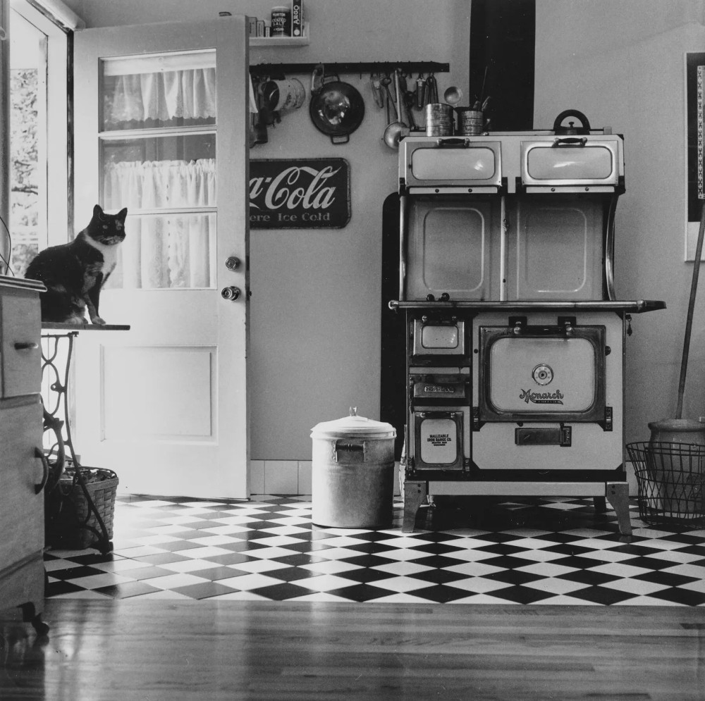 Black and white photograph of a cat on a table in a kitchen