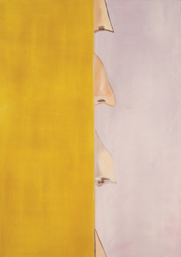 Allison Katz,&amp;nbsp;Noses, 2014, oil on canvas