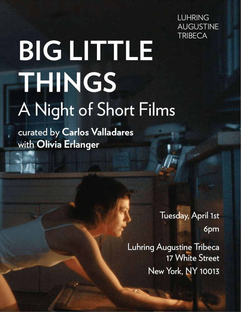 Big Little Things: A Night of Short Films