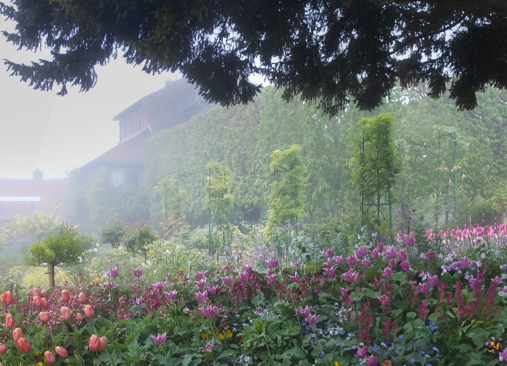 Aileen Bordman: Monet's Garden -  - Viewing Room - Leila Heller Gallery