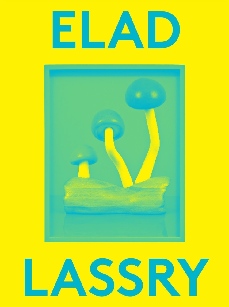 Elad Lassry - 2000 Words - PUBLICATIONS - 303 Gallery