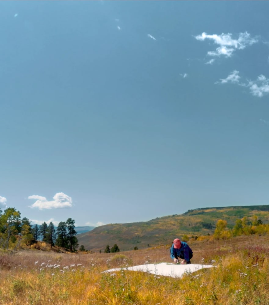 Sam Falls | Nothing Without Nature