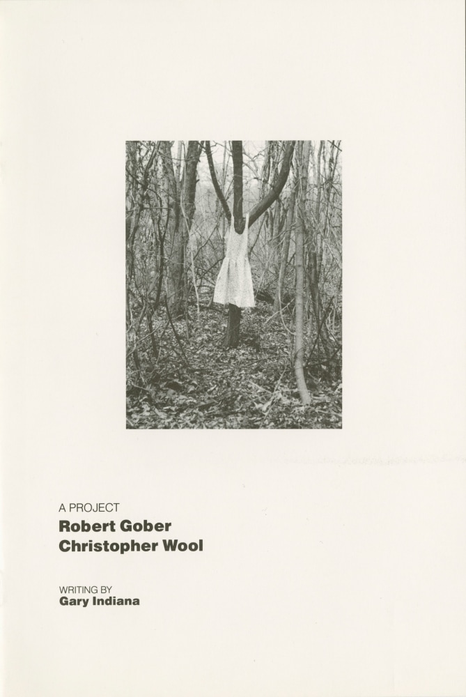 Robert Gober, Christopher Wool, A Project

cover