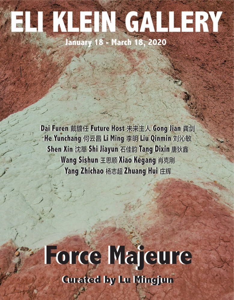 Force Majeure - 出版物 - Eli Klein Gallery