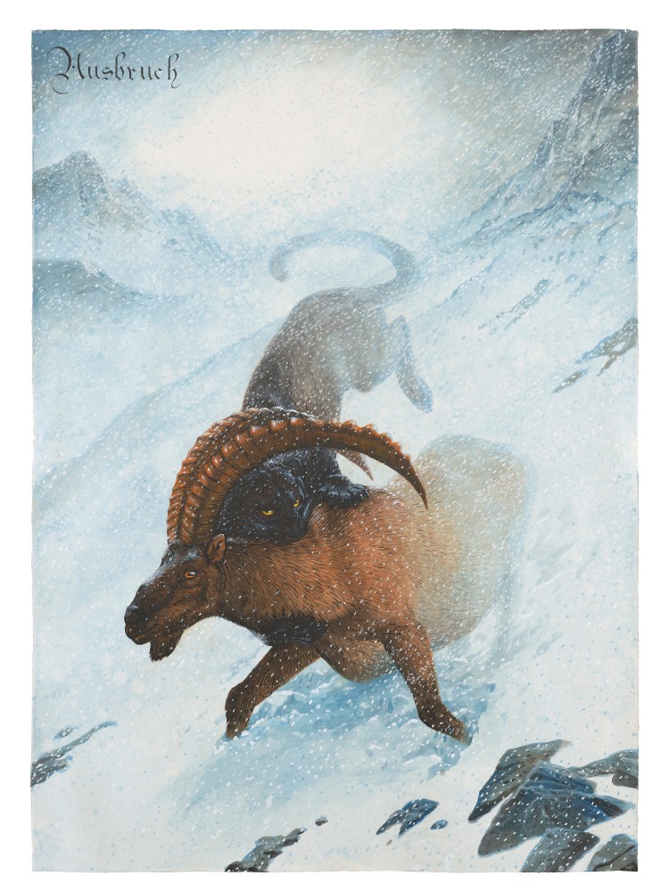 Watercolor, gouache and ink on paper of a panther attacking a deer in the snowy Swiss Alps by Walton Ford