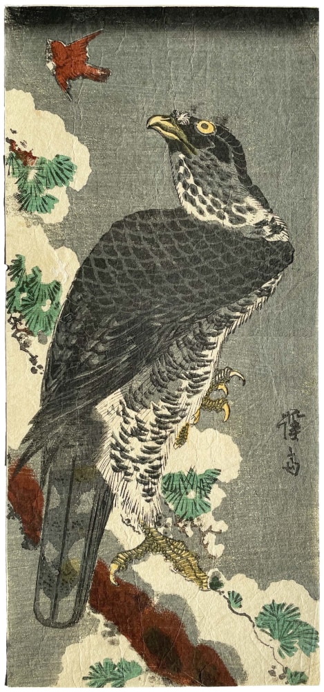 Keisai Eisen - Hawk and sparrow against a snowy pine tree - Artworks - Joan B Mirviss LTD | Japanese Fine Art | Japanese Ceramics