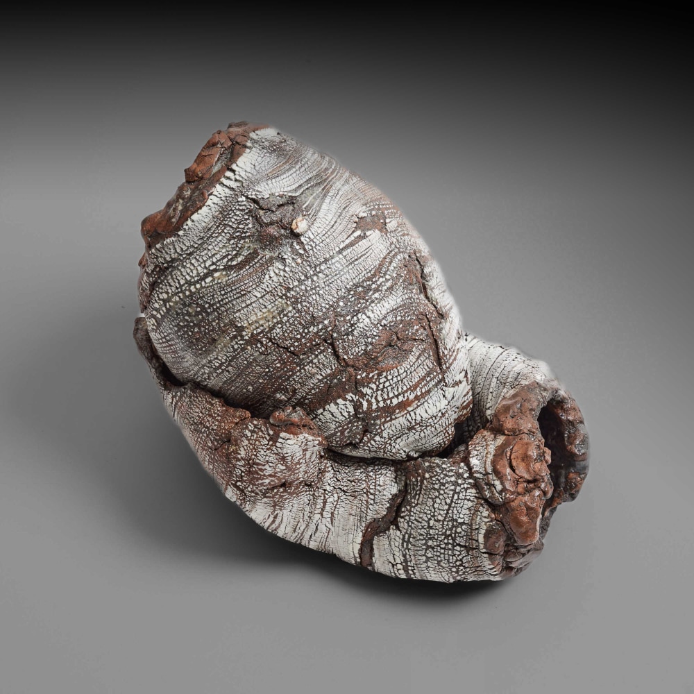 Futamura Yoshimi - Rebirth - Artworks - Joan B Mirviss LTD | Japanese Fine Art | Japanese Ceramics