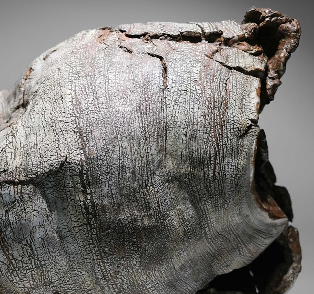 Futamura Yoshimi - COLLAPSE / REBIRTH II - Exhibitions - Joan B Mirviss LTD | Japanese Fine Art | Japanese Ceramics