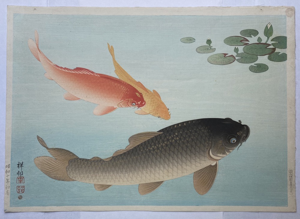 Ōhara Koson - Red carp and two fish swim beneath waterlilies - Artworks - Joan B Mirviss LTD | Japanese Fine Art | Japanese Ceramics
