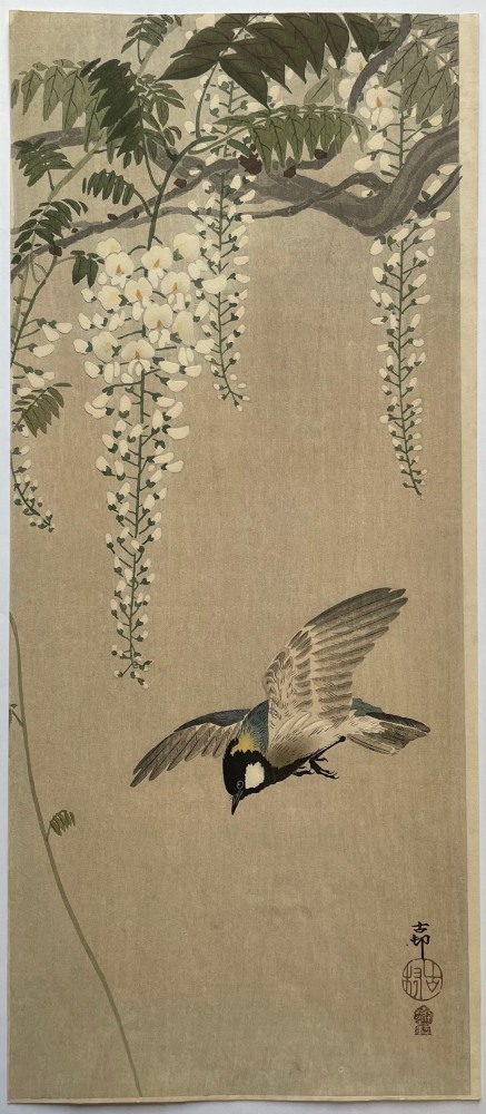 Ohara Koson - Great tit in flight, a flowering wisteria above - Artworks - Joan B Mirviss LTD | Japanese Fine Art | Japanese Ceramics