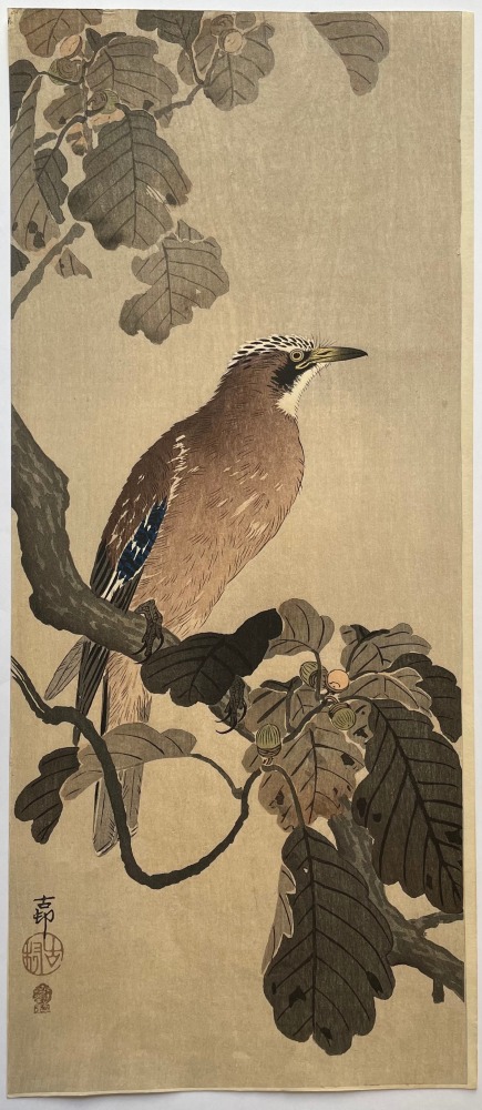 Ohara Koson - Jay on an Oak Branch - Artworks - Joan B Mirviss LTD | Japanese Fine Art | Japanese Ceramics
