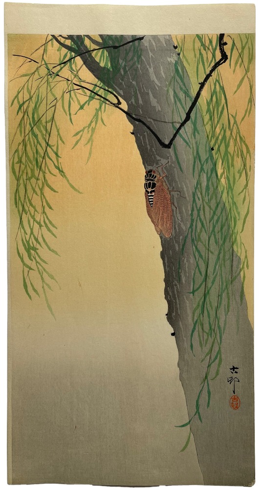 Ohara Koson - Cicada on Willow Tree - Artworks - Joan B Mirviss LTD | Japanese Fine Art | Japanese Ceramics