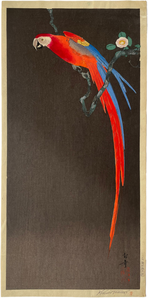 Tsuruoka Kakunen - Parrot on flowering branch - Artworks - Joan B Mirviss LTD | Japanese Fine Art | Japanese Ceramics