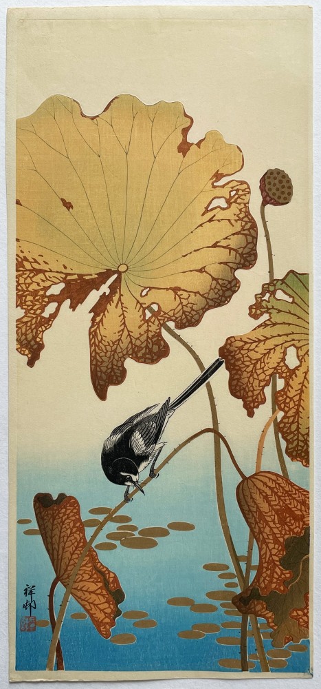 Ohara Koson - Wagtail with lotus - Artworks - Joan B Mirviss LTD | Japanese Fine Art | Japanese Ceramics