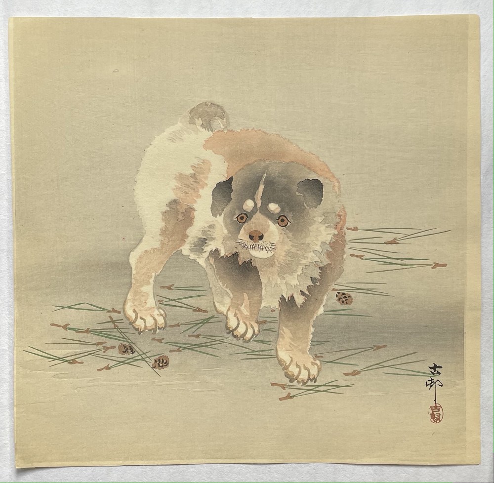 Ohara Koson - Puppy walking on fallen pine needles - Artworks - Joan B Mirviss LTD | Japanese Fine Art | Japanese Ceramics