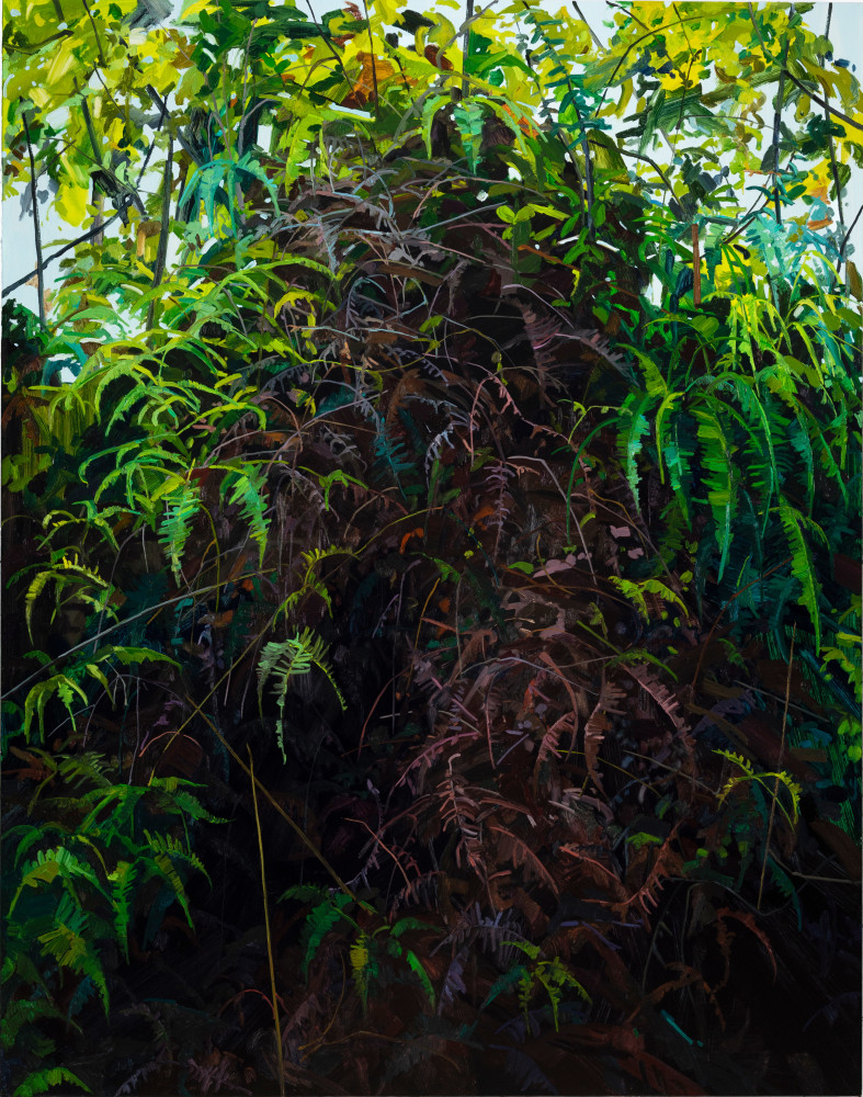 Ferns and Vines, 2019
