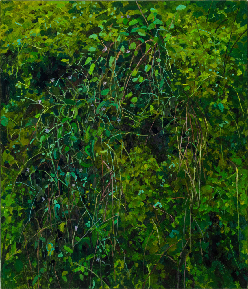 Moss and Grass, 2017