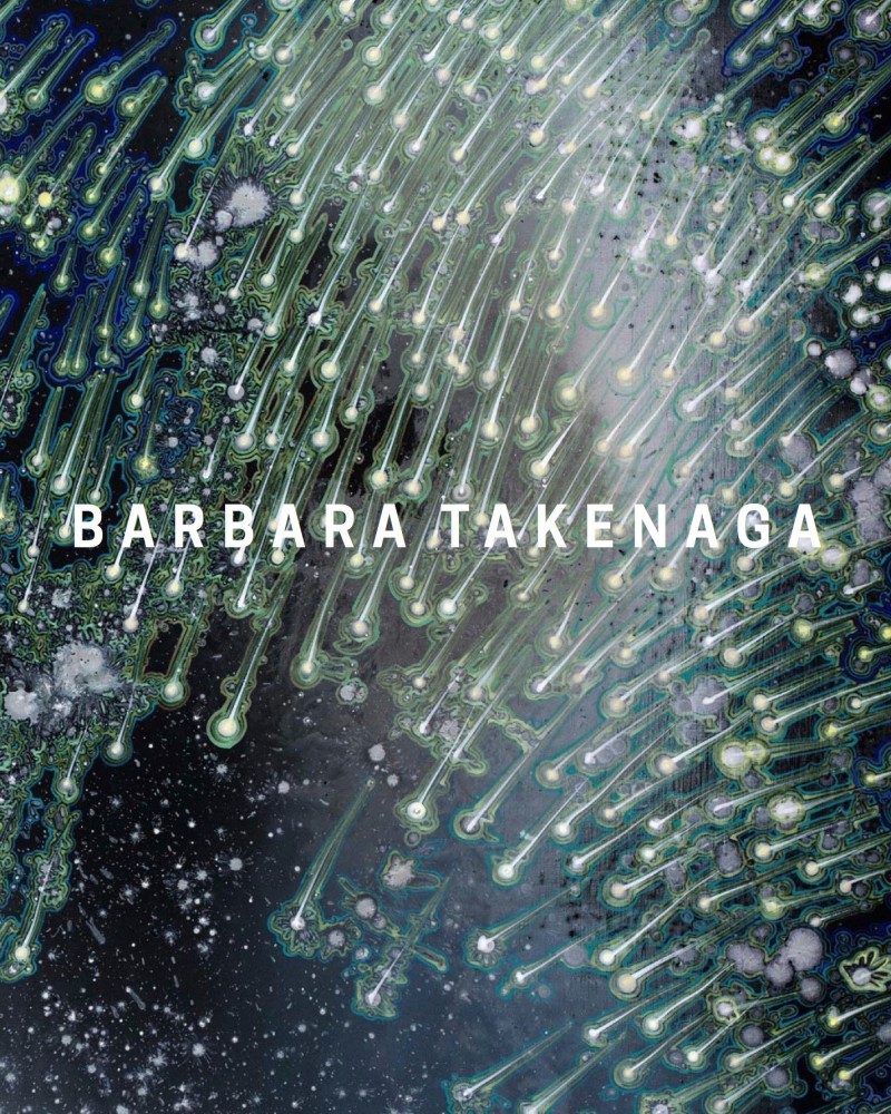 Barbara Takenaga: Waiting in the Sky -  - Publications - DC Moore Gallery