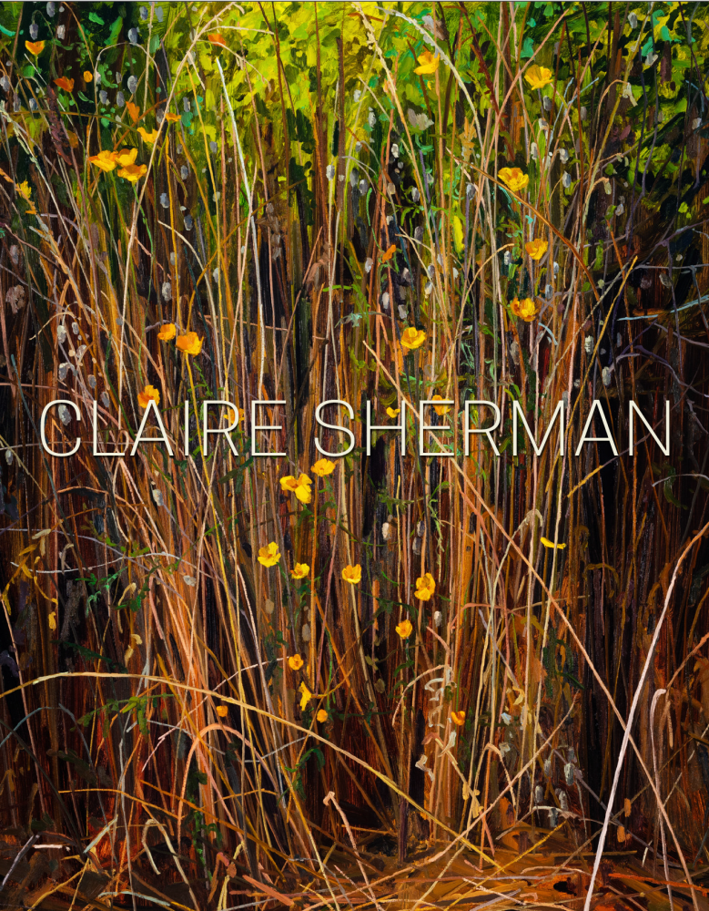 Claire Sherman: Intuor -  - Publications - DC Moore Gallery