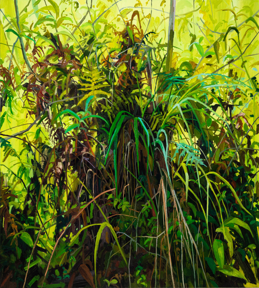 Grass and Ferns, 2019