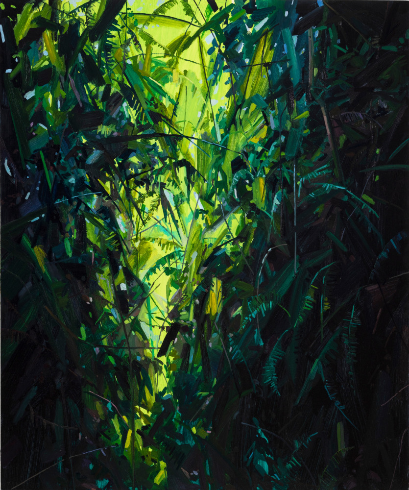 Leaves and Vines, 2017