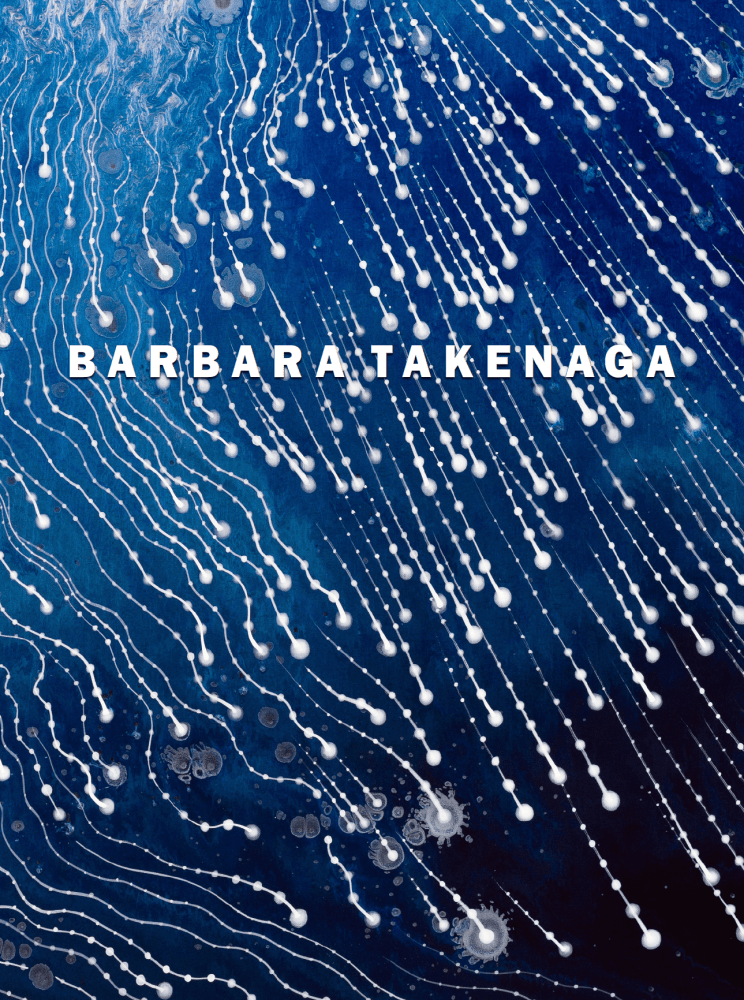 Barbara Takenga: Shibaraku -  - Publications - DC Moore Gallery