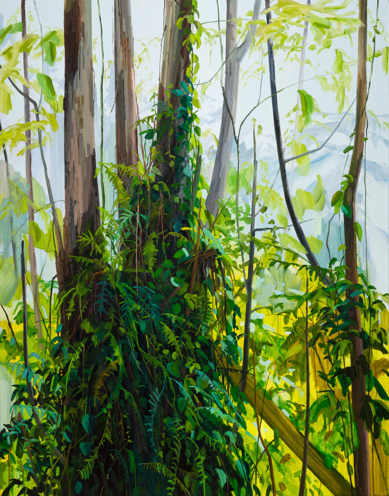Trees and Ferns, 2019