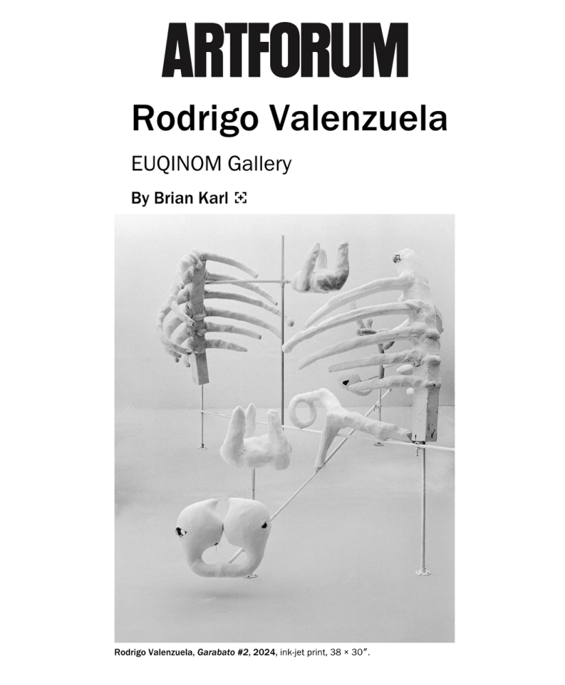 Rodrigo Valenzuela in Artforum