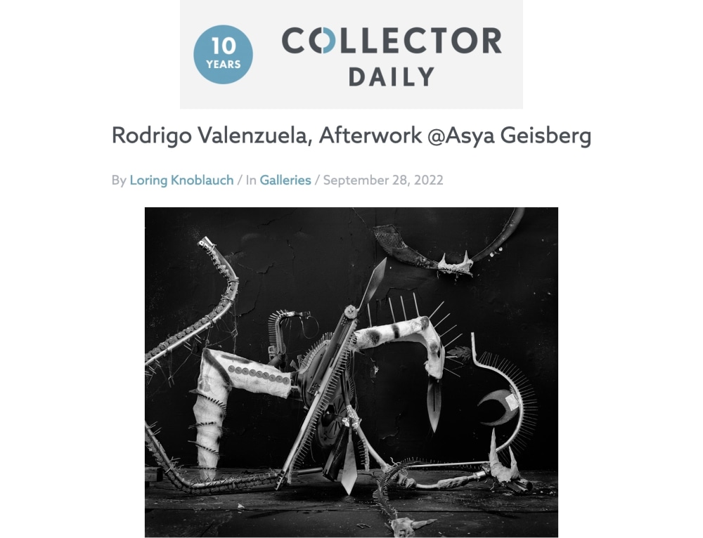 Rodrigo Valenzuela in Collector Daily