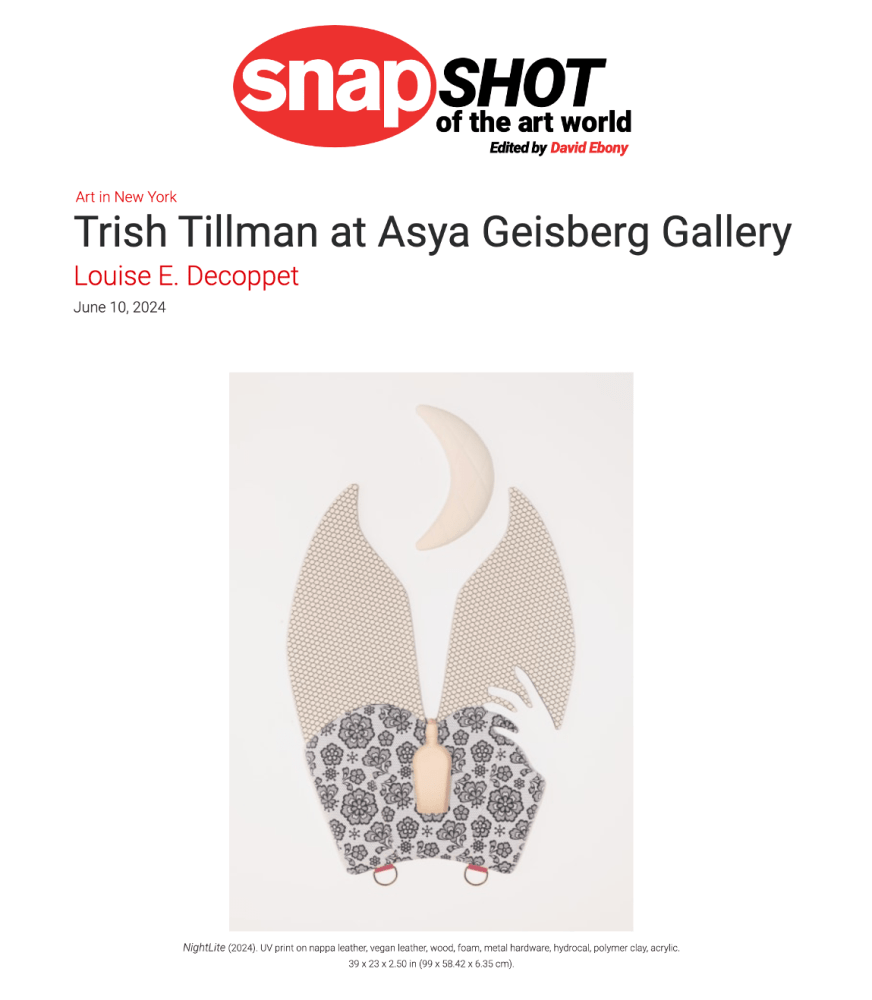 Trish Tillman in Snapshot of the Art World