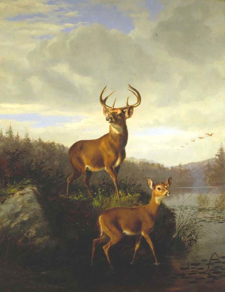 Arthur Fitzwilliam Tait (1819-1905), Buck and Doe, 1878