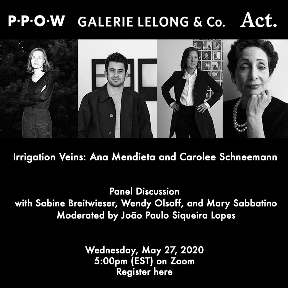 Panel Discussion &quot;Irrigation Veins: Ana Mendieta and Carolee Schneemann&quot;