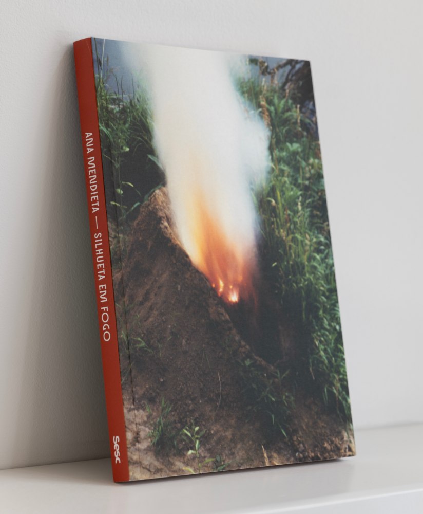 Ana Mendieta: Silhueta em fogo -  - Publications - Galerie Lelong & Co.